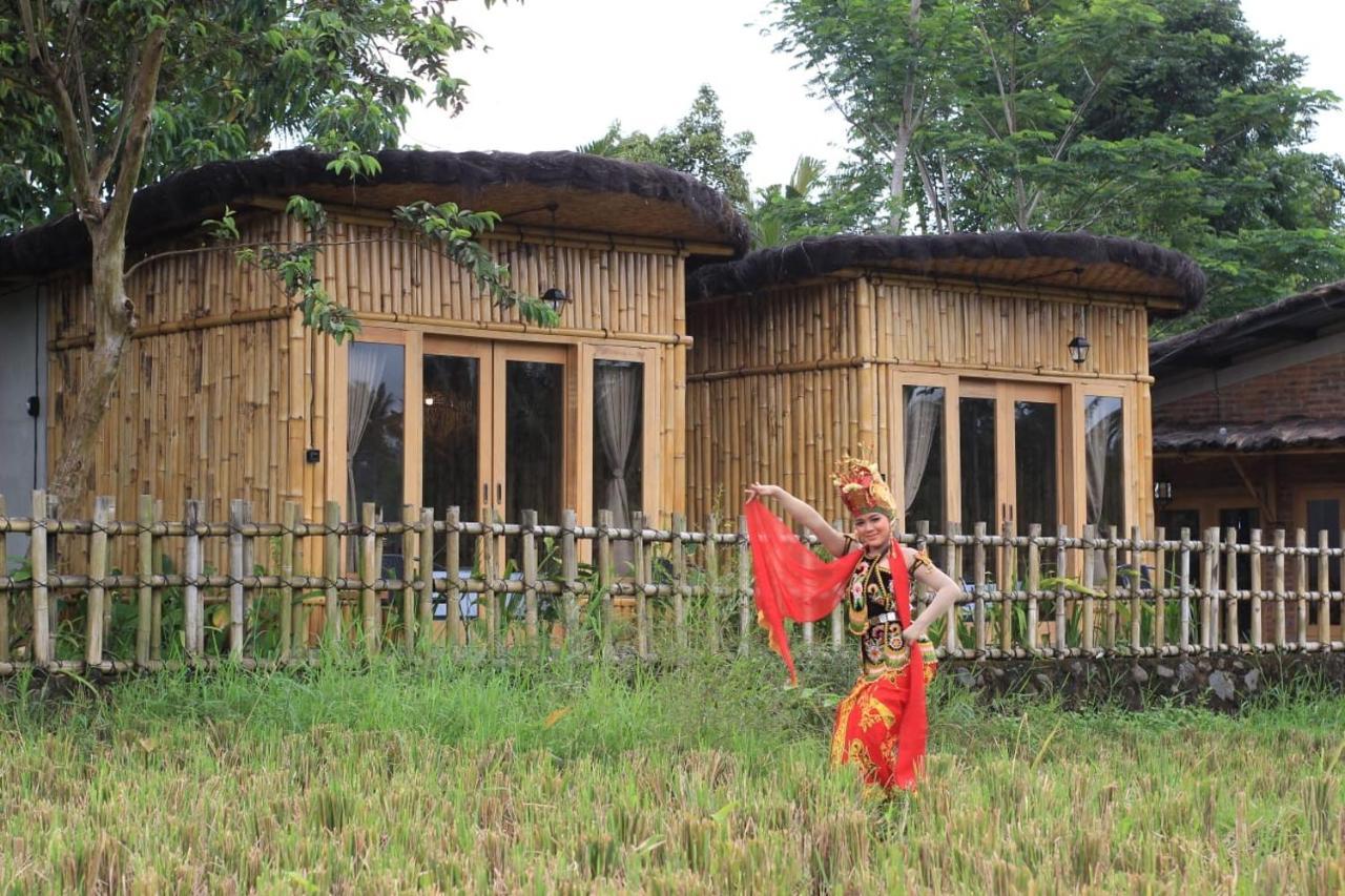 Sawah Ijen Hotel Licin Kültér fotó