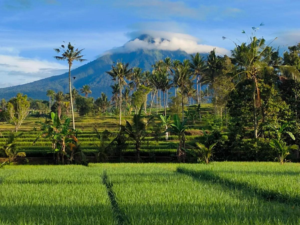 Sawah Ijen Hotel Licin Kültér fotó