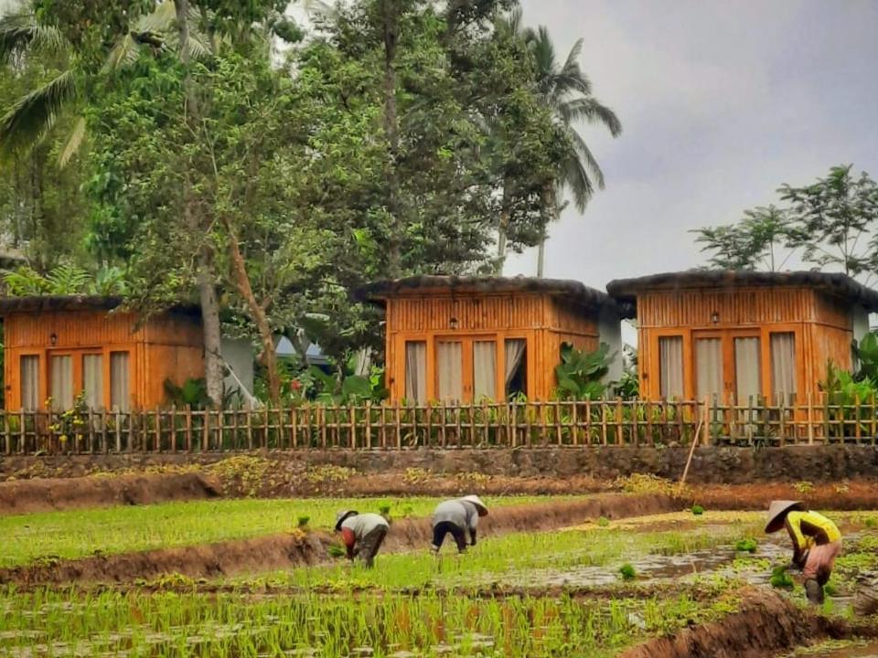 Sawah Ijen Hotel Licin Kültér fotó